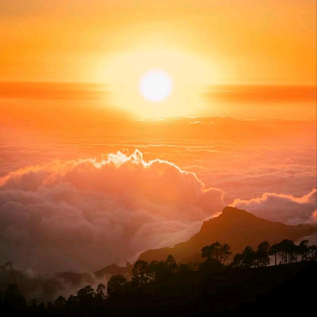 孤独先生——1369