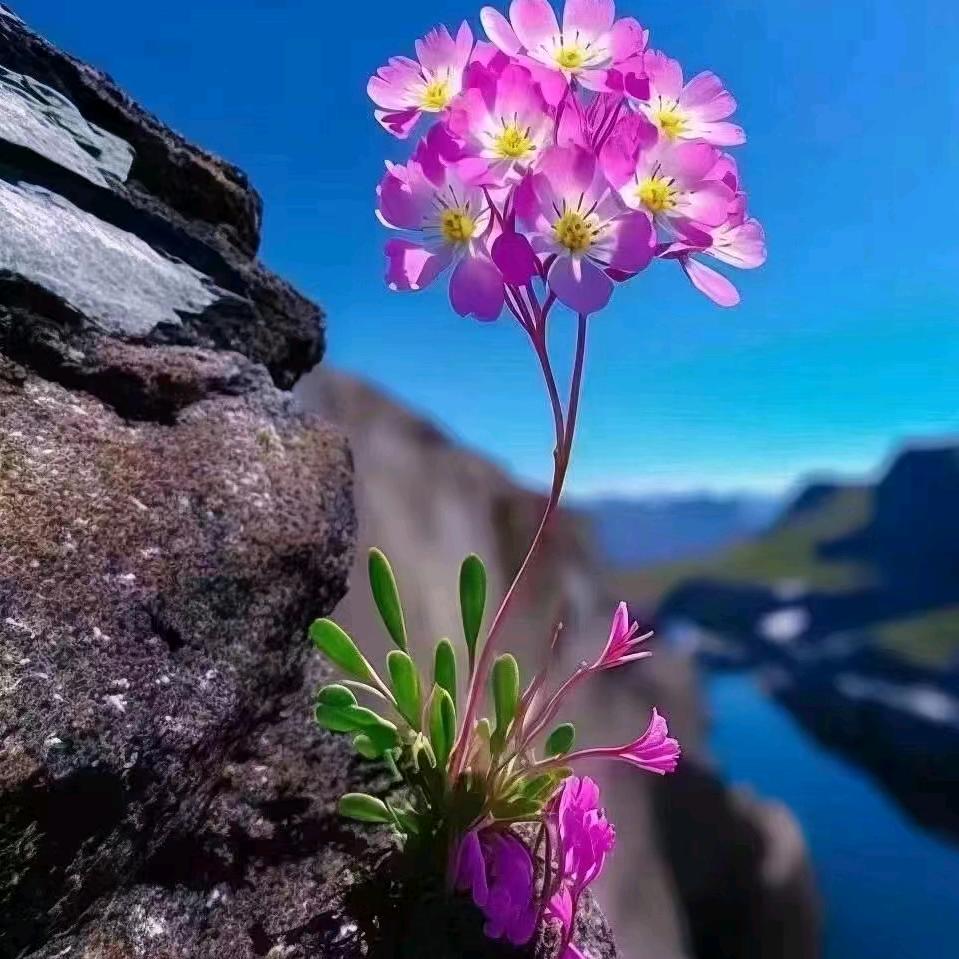 小徐呀(∩ᄑ_ᄑ)⊃