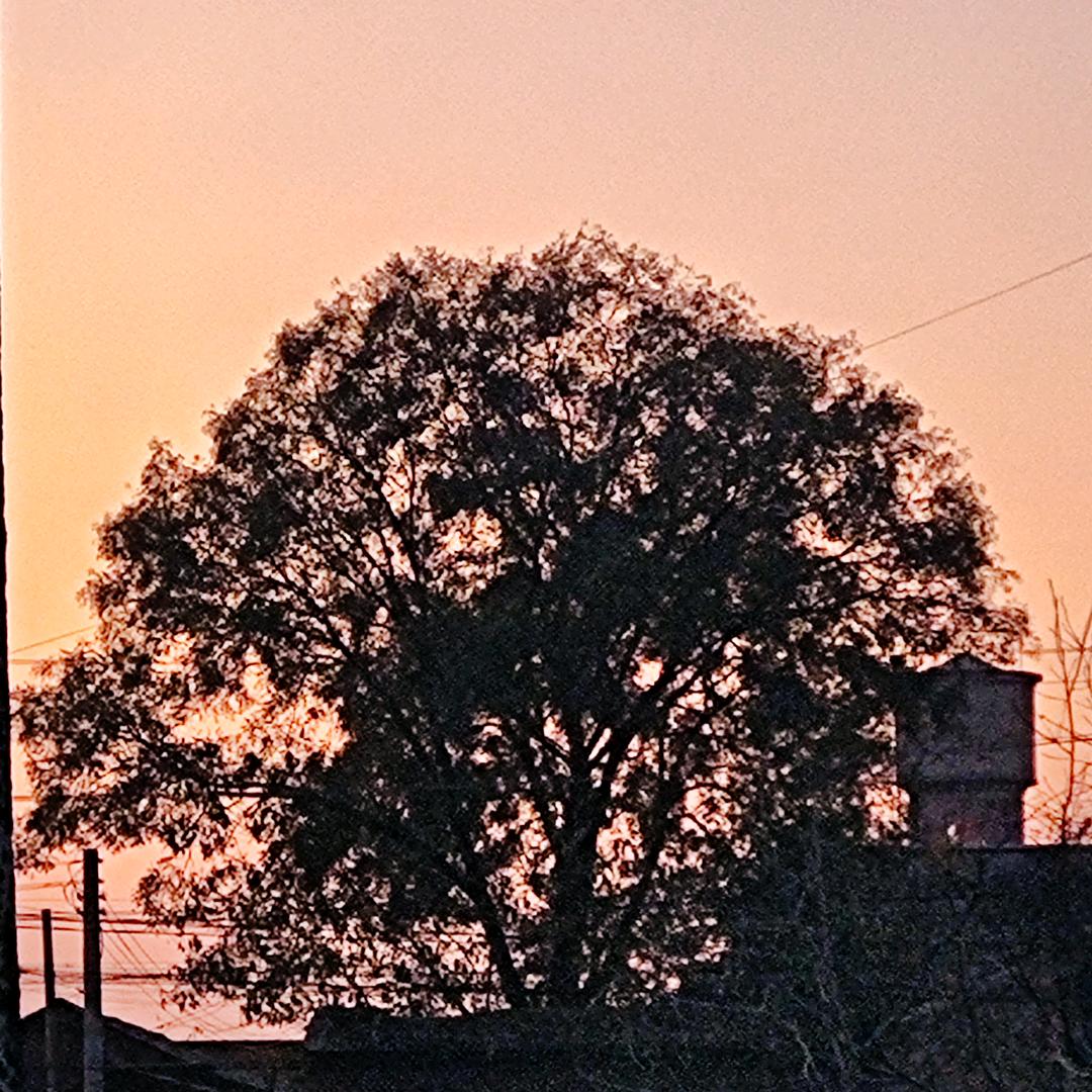 海绵宝宝与派大星