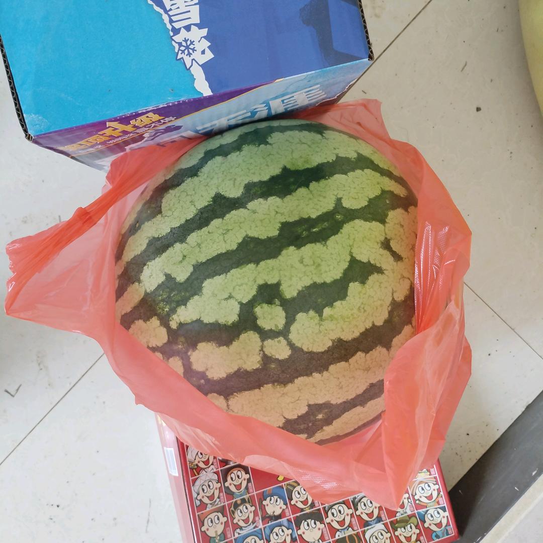 冰西瓜