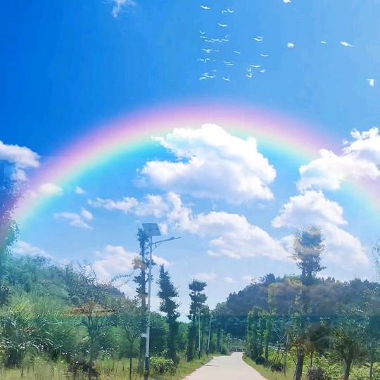 এ᭄✿ꦿ᭄慧💞এ᭄ꦿ₅₂ₒ