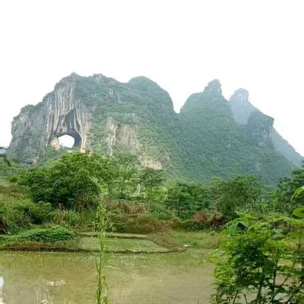 文旅达人豢龙氏