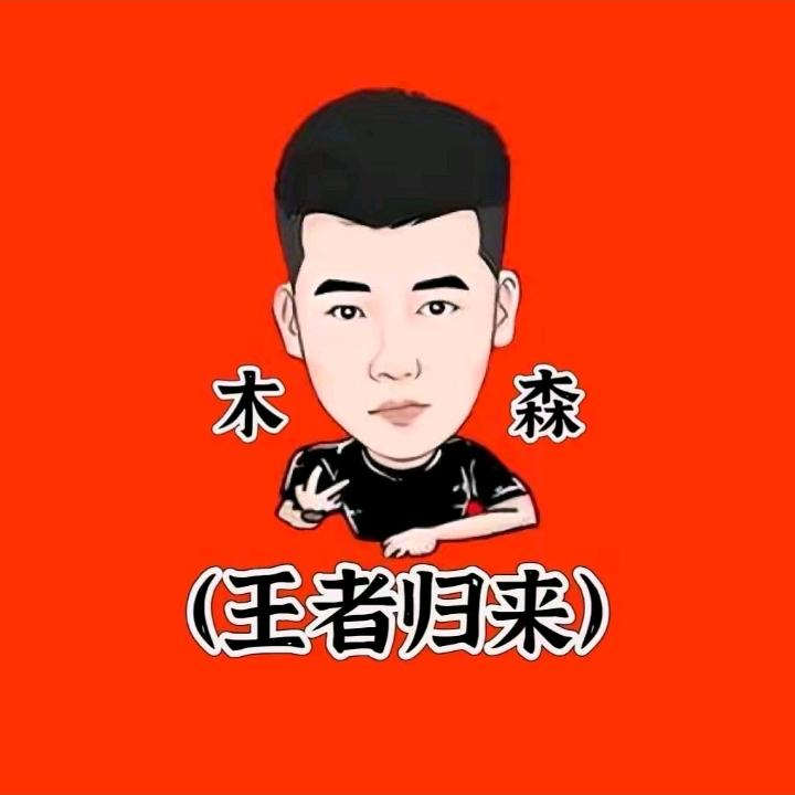 木森（王者归来）