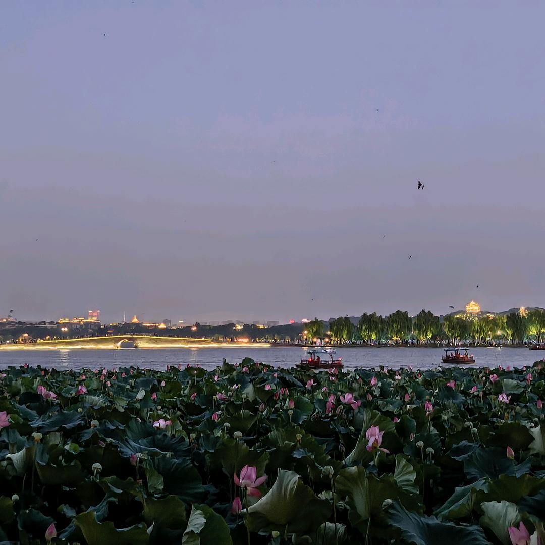 学弟好物推荐官