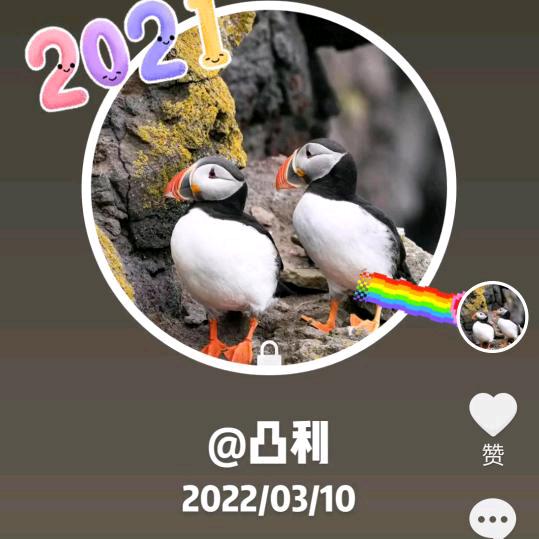 🔥凸凸🔥tū tū🔥