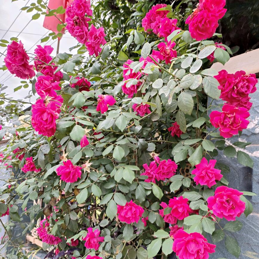 💕岁月静好💞