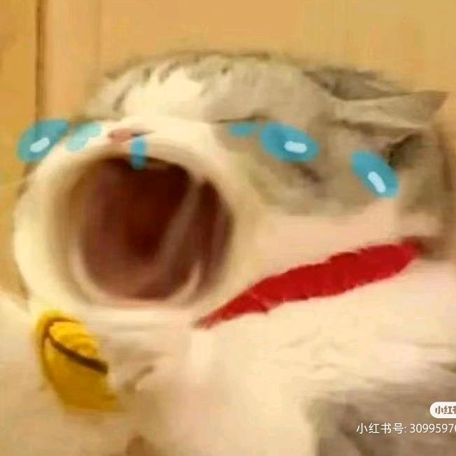 今天也在大保底