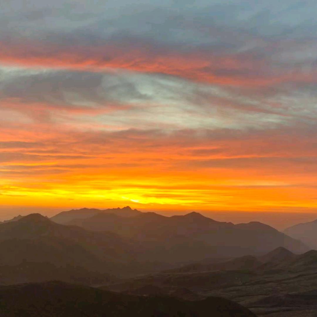 ༺半梦༒半醒༻