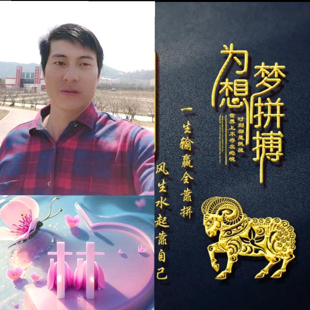 钢构小林