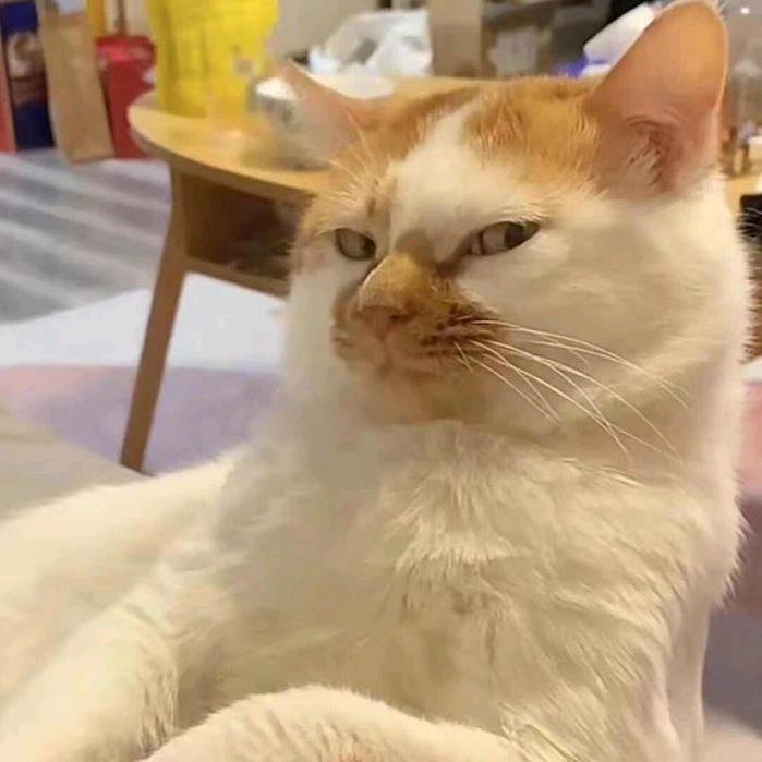 今晚就要见到你