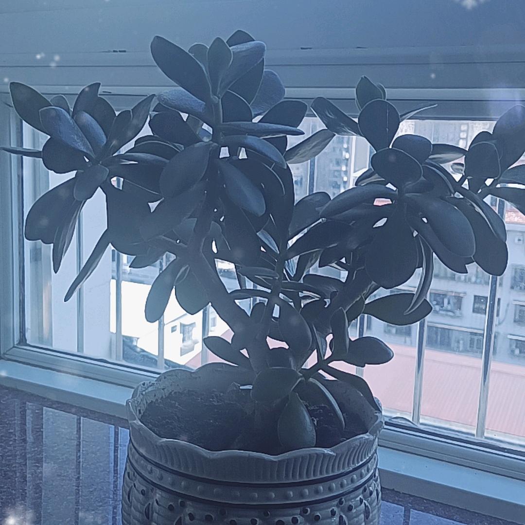 中中好物橱窗
