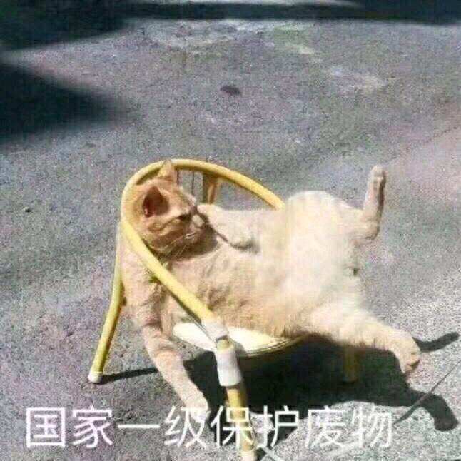 国家一级摆烂运动员
