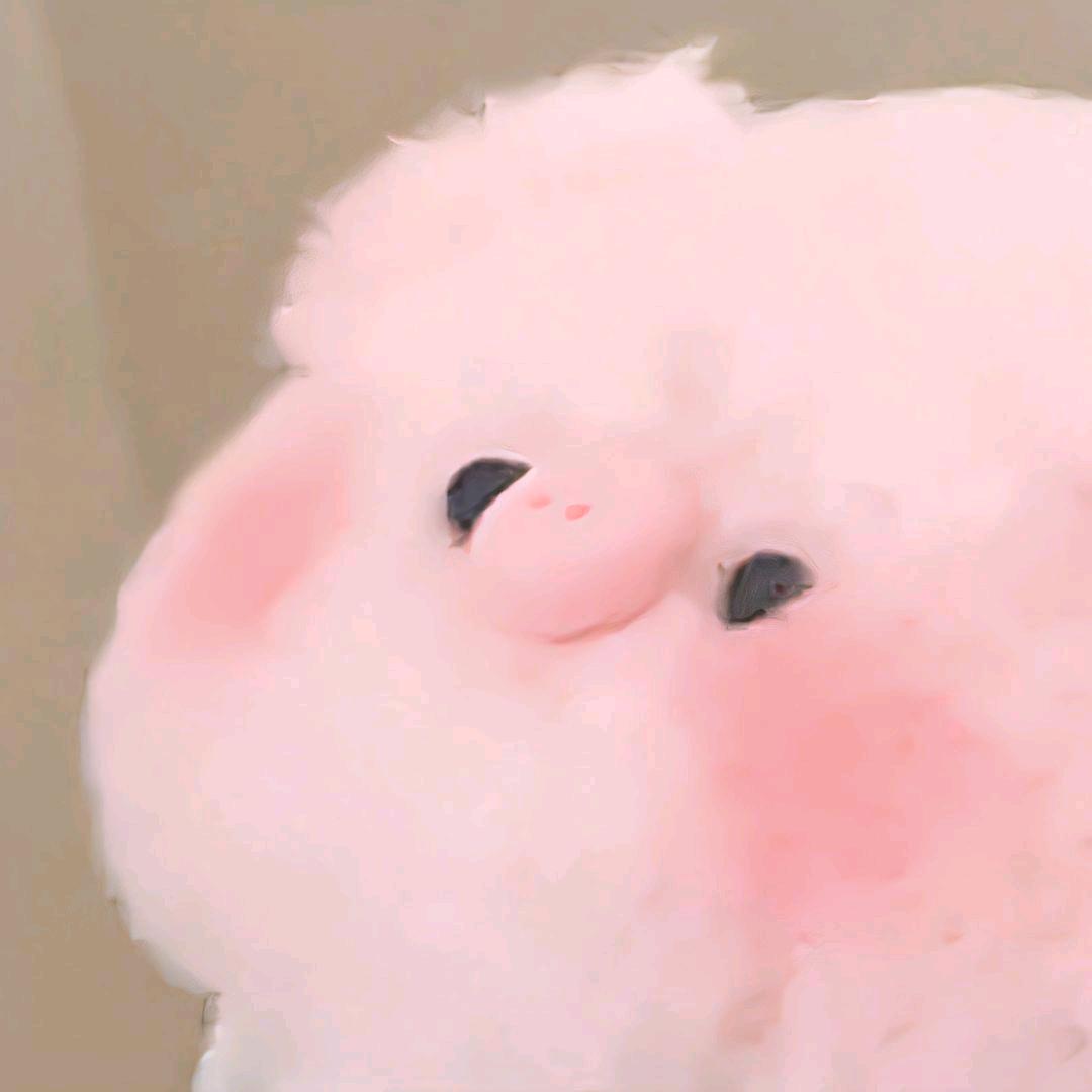 你看到柚子的小熊了吗