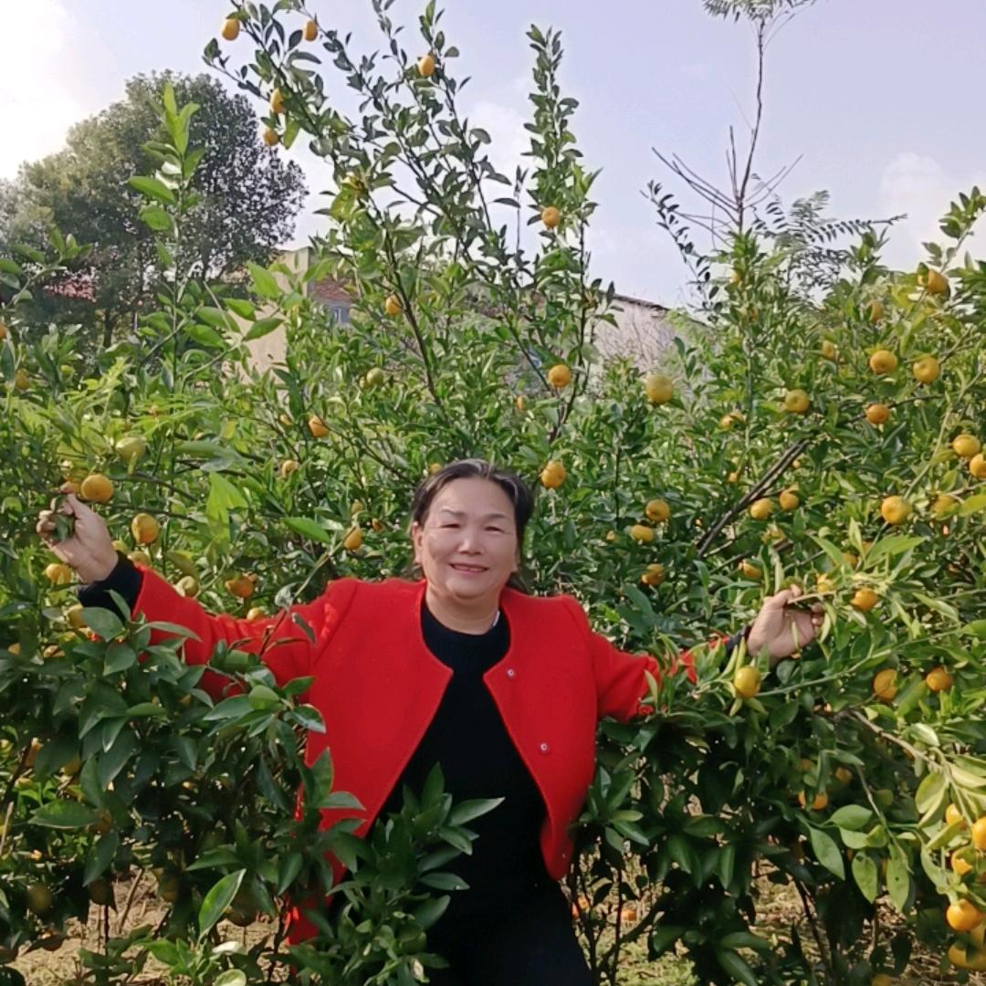 过好余生