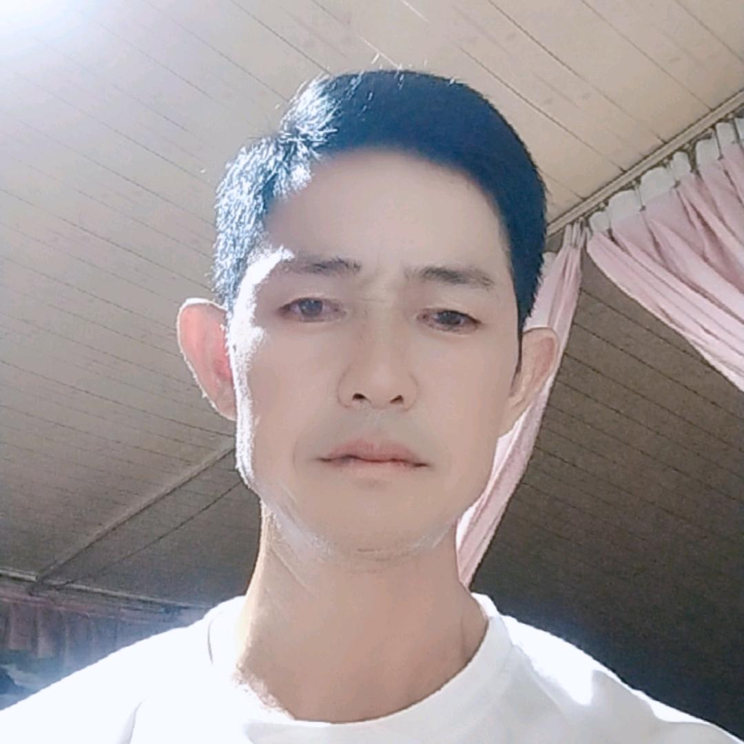 ，想飞的鸟