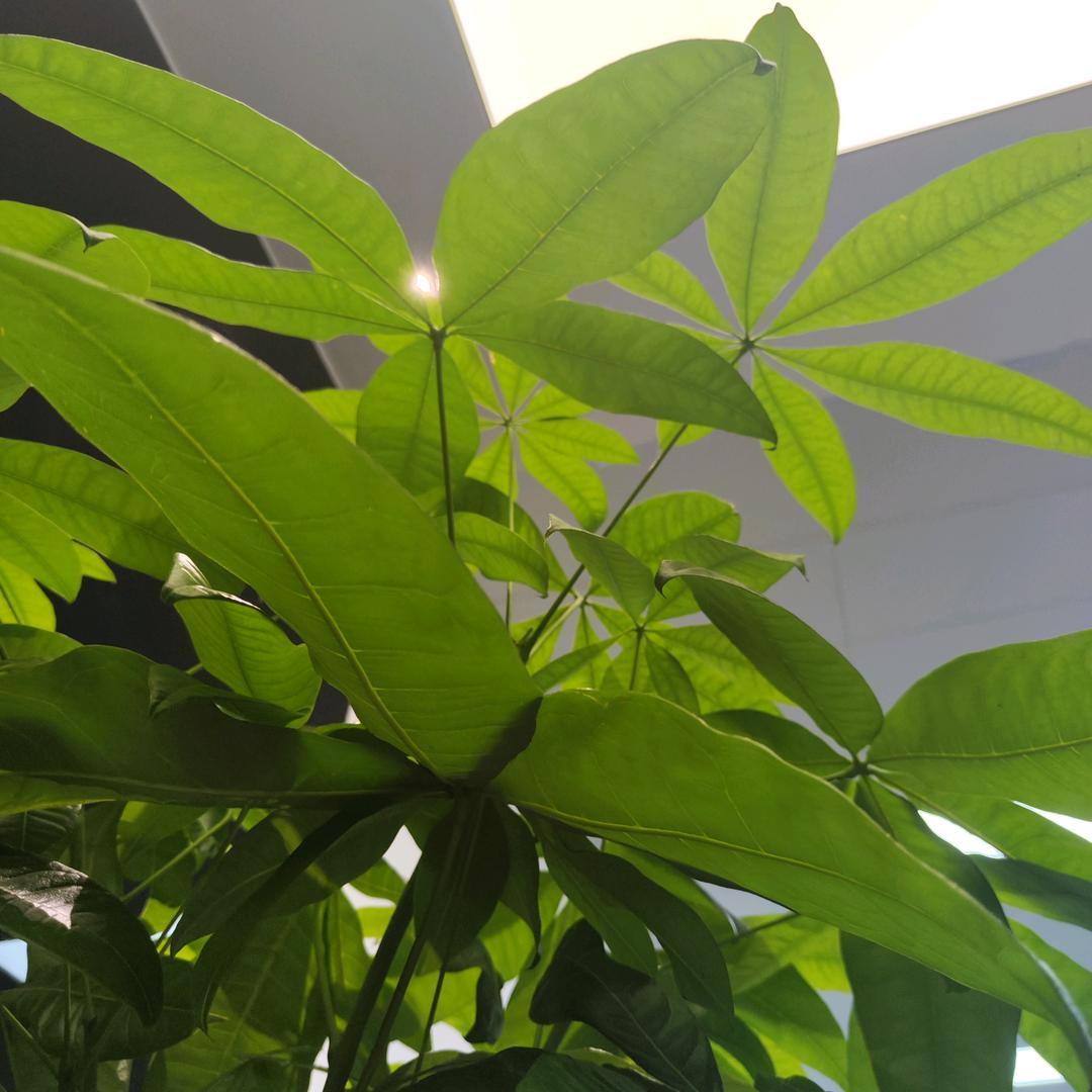 文思泉涌智学库