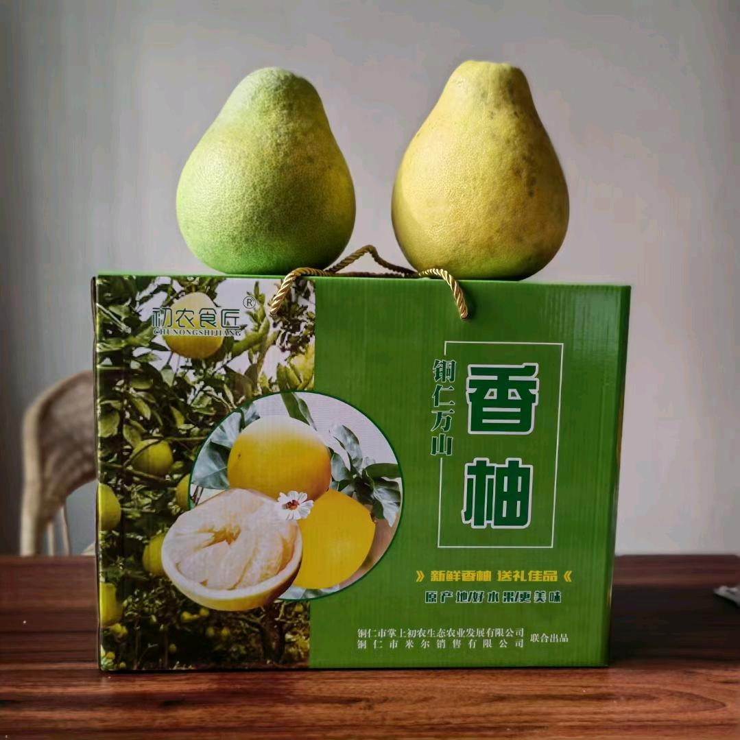 铜仁柚子哥