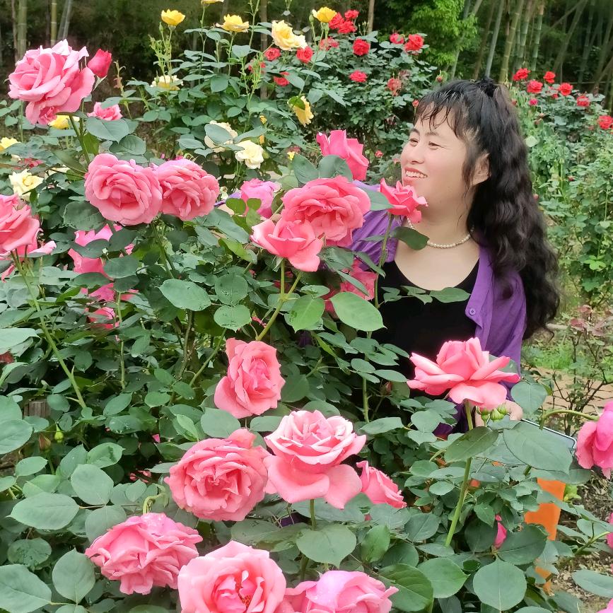 等想好了再说