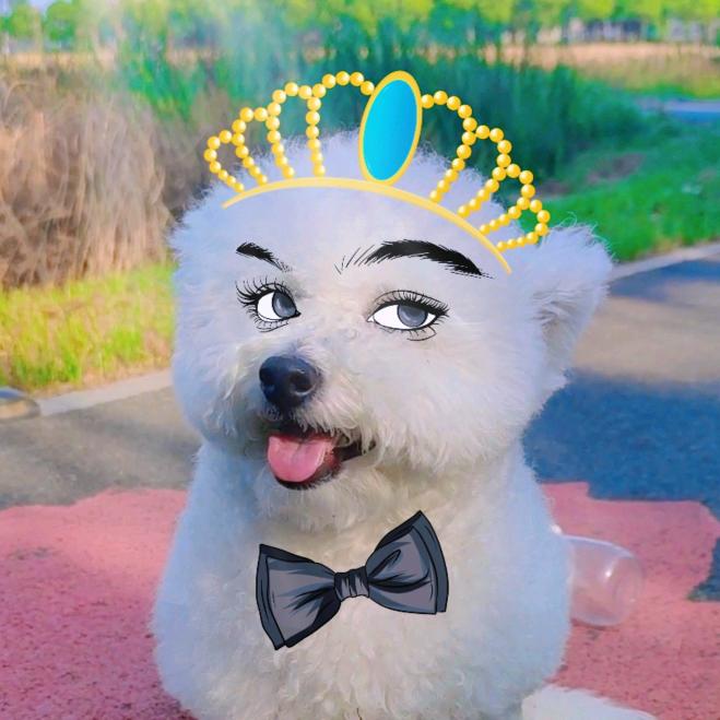 钮祜禄小白