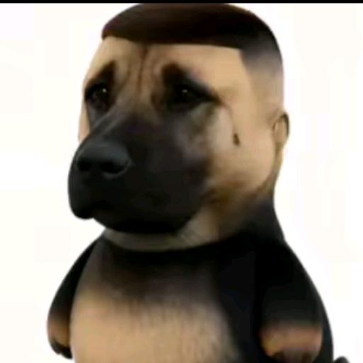 抱着嫦娥烤兔兔