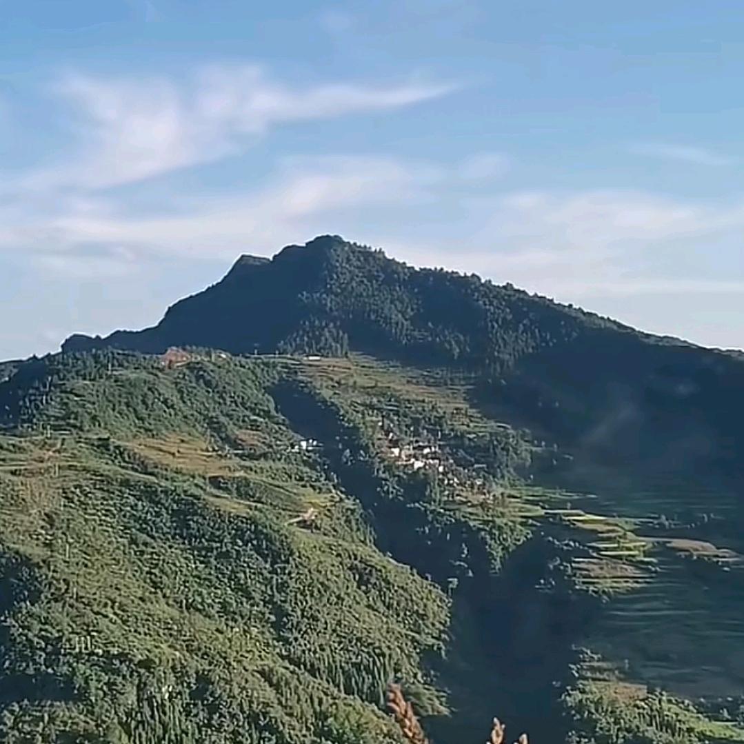 初征