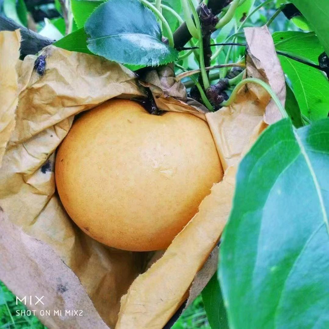 金铭优品工作室