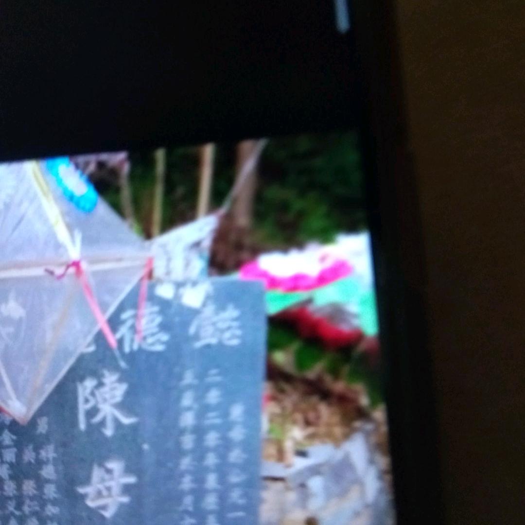 陈如明
