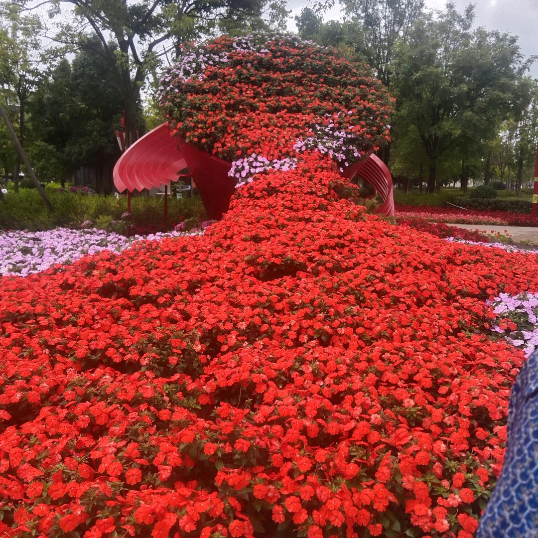 叶黄叶落又一秋