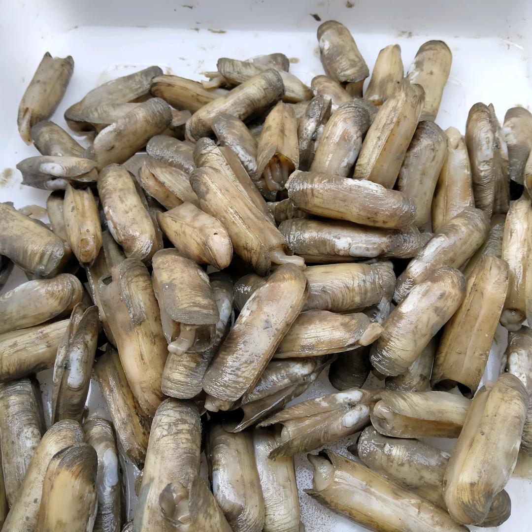 筶杯海鲜店