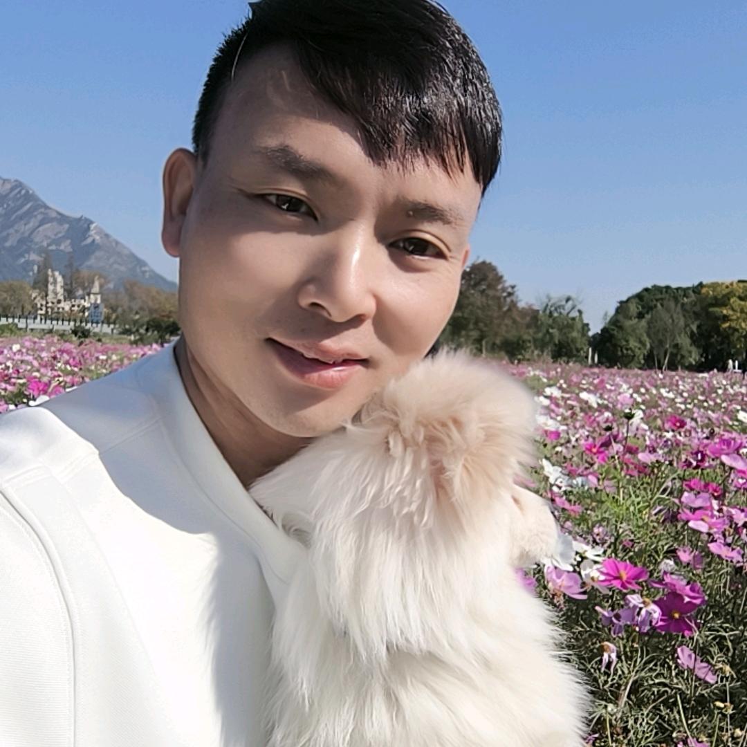 刘哥😊