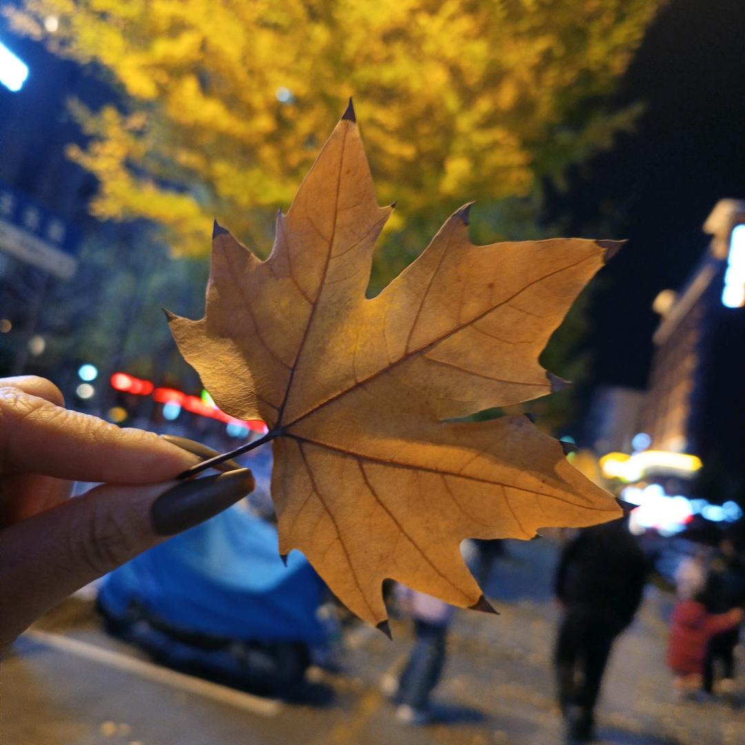 愿将来胜过往✊头像