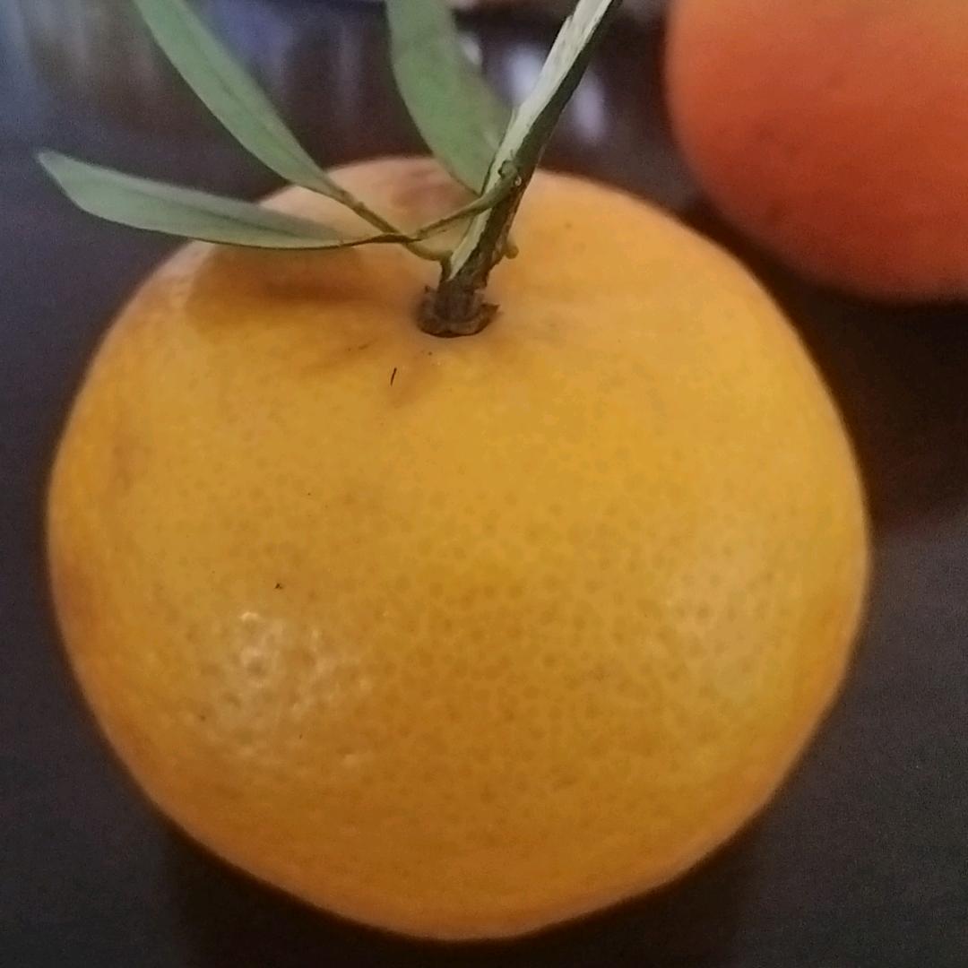 kabli
