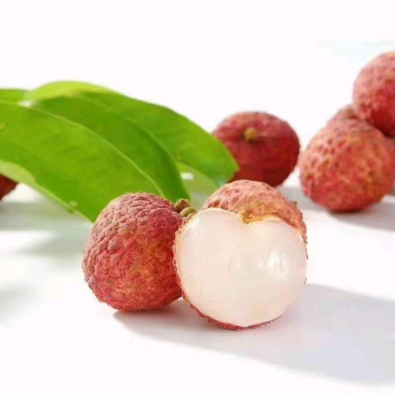 芯念