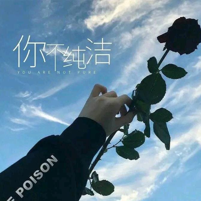 临风