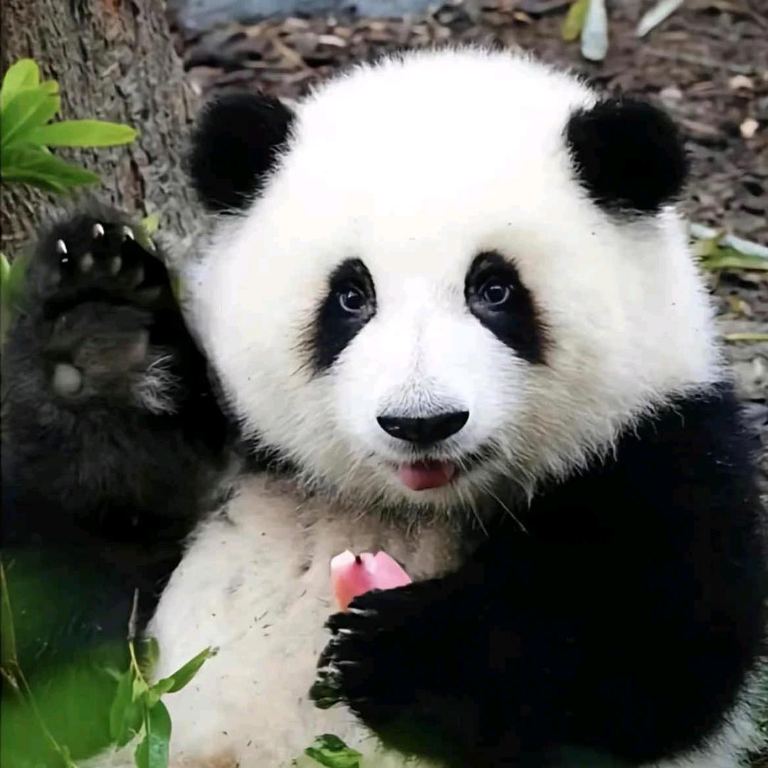 💕₅²⁰蓝ོ桉ོ¹ᶟ₁₄