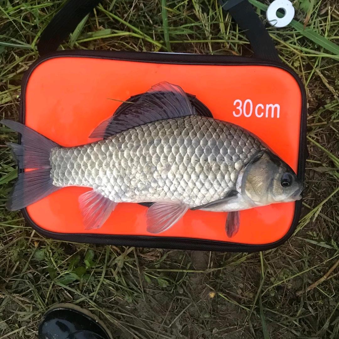 🐟柳河鱼锅🐟