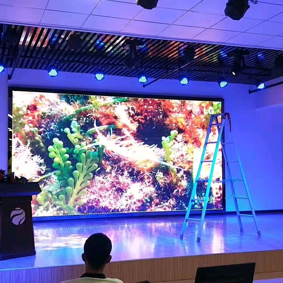 君宏光电LED显示屏-小朱