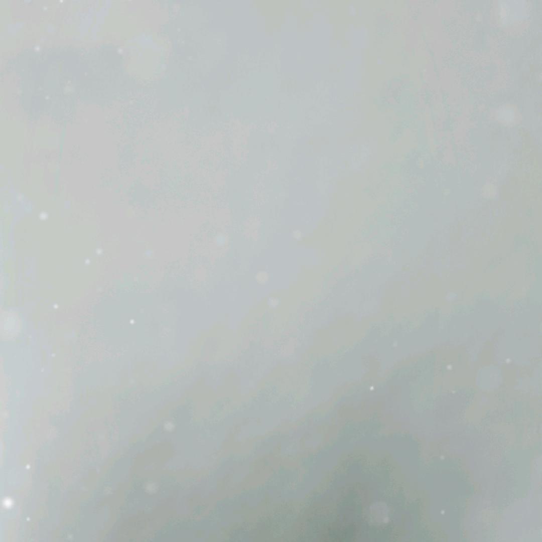 向阳花
