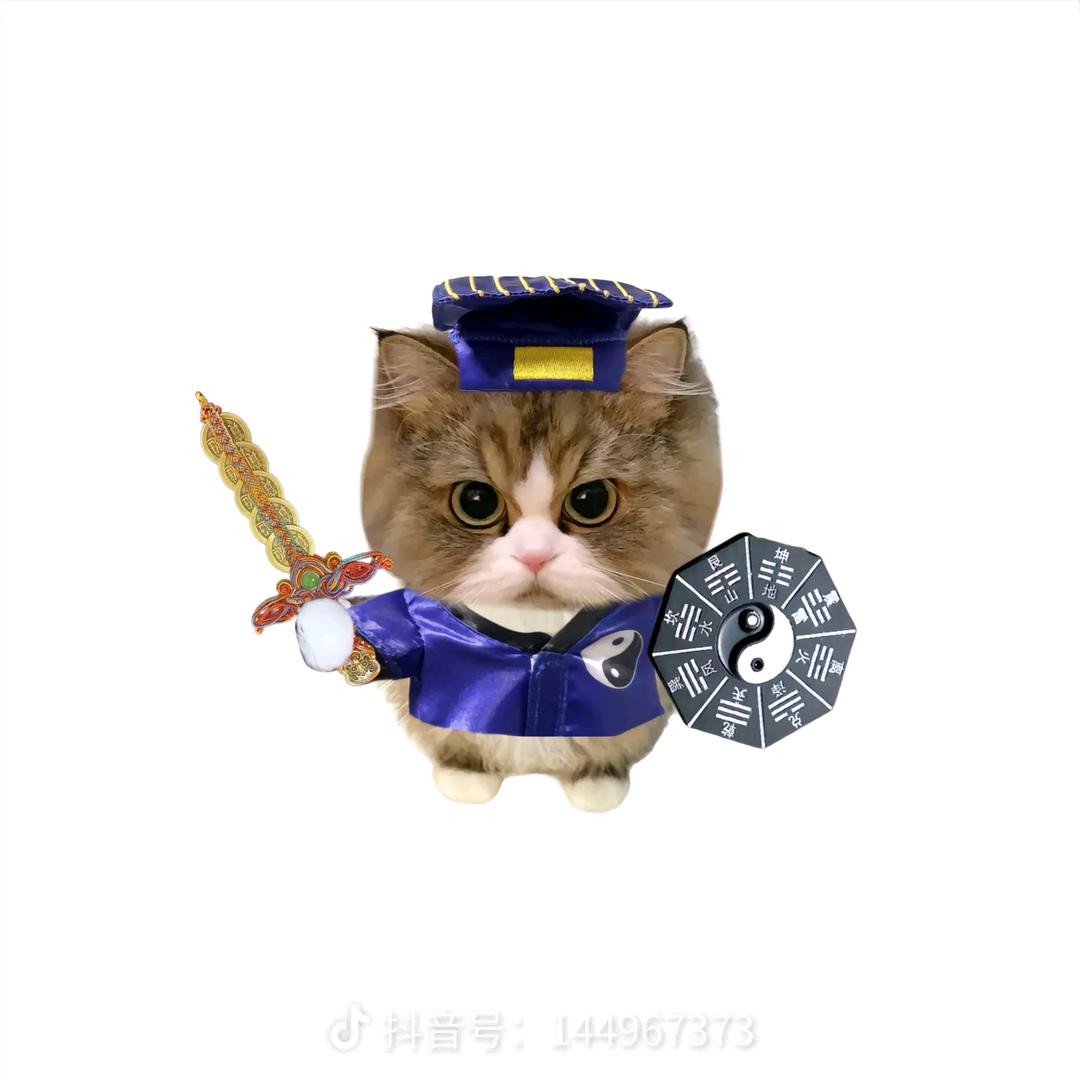 心¨