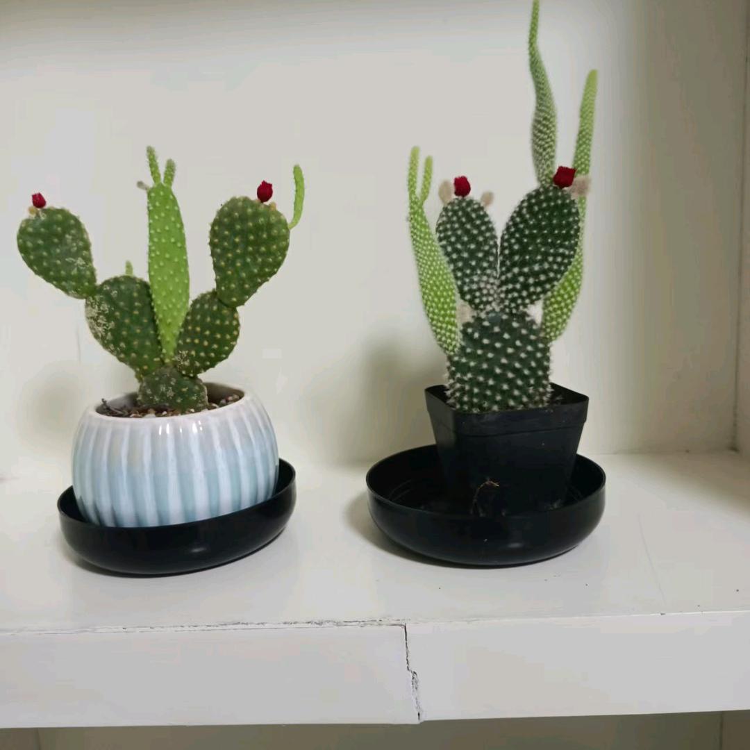 已婚男人！！！