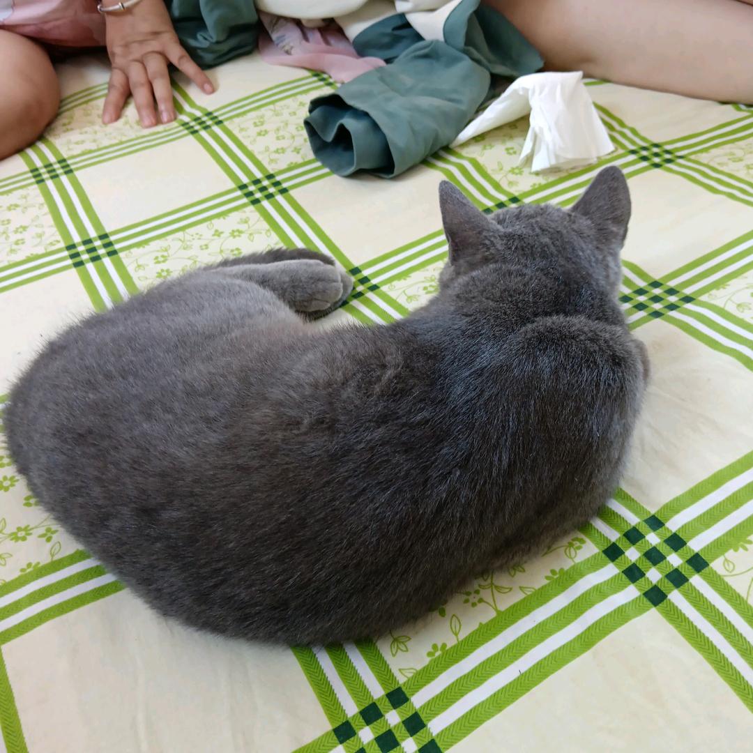 不要再联系