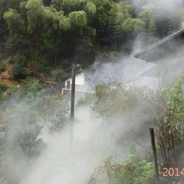 岗哥哥