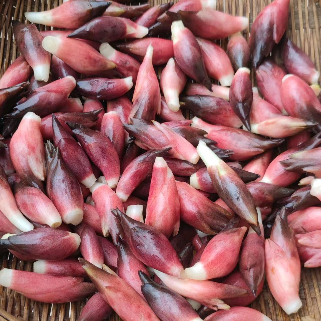 浩源农业（洋荷种植）