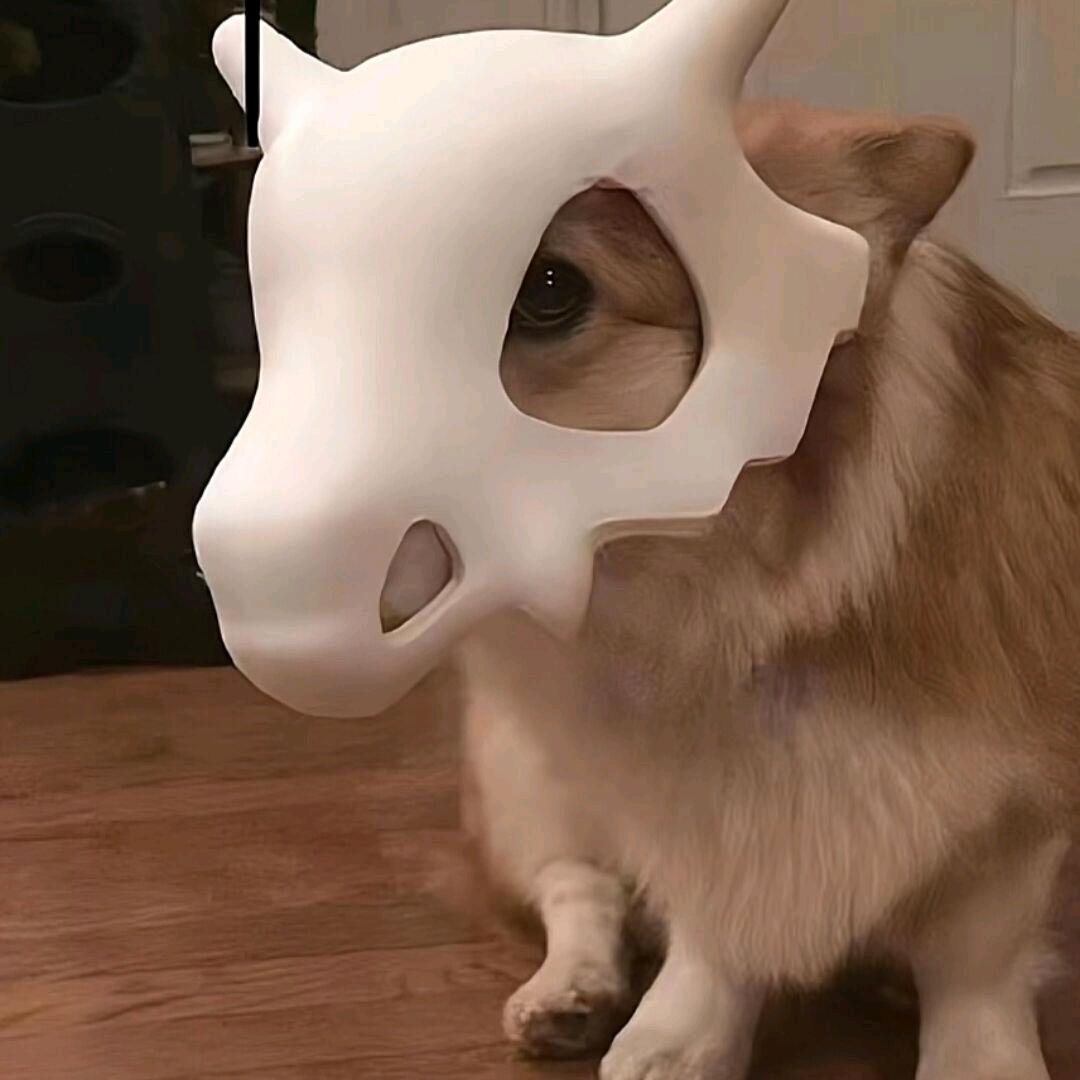 哈哈@