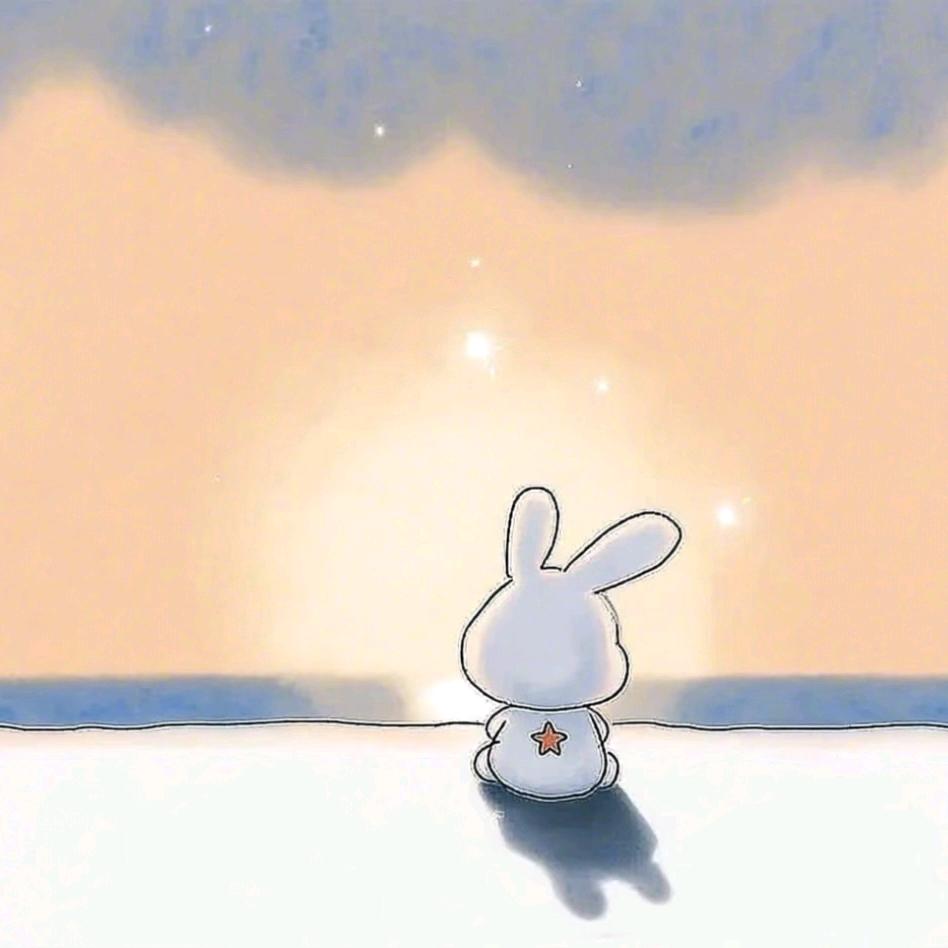 1999🐰