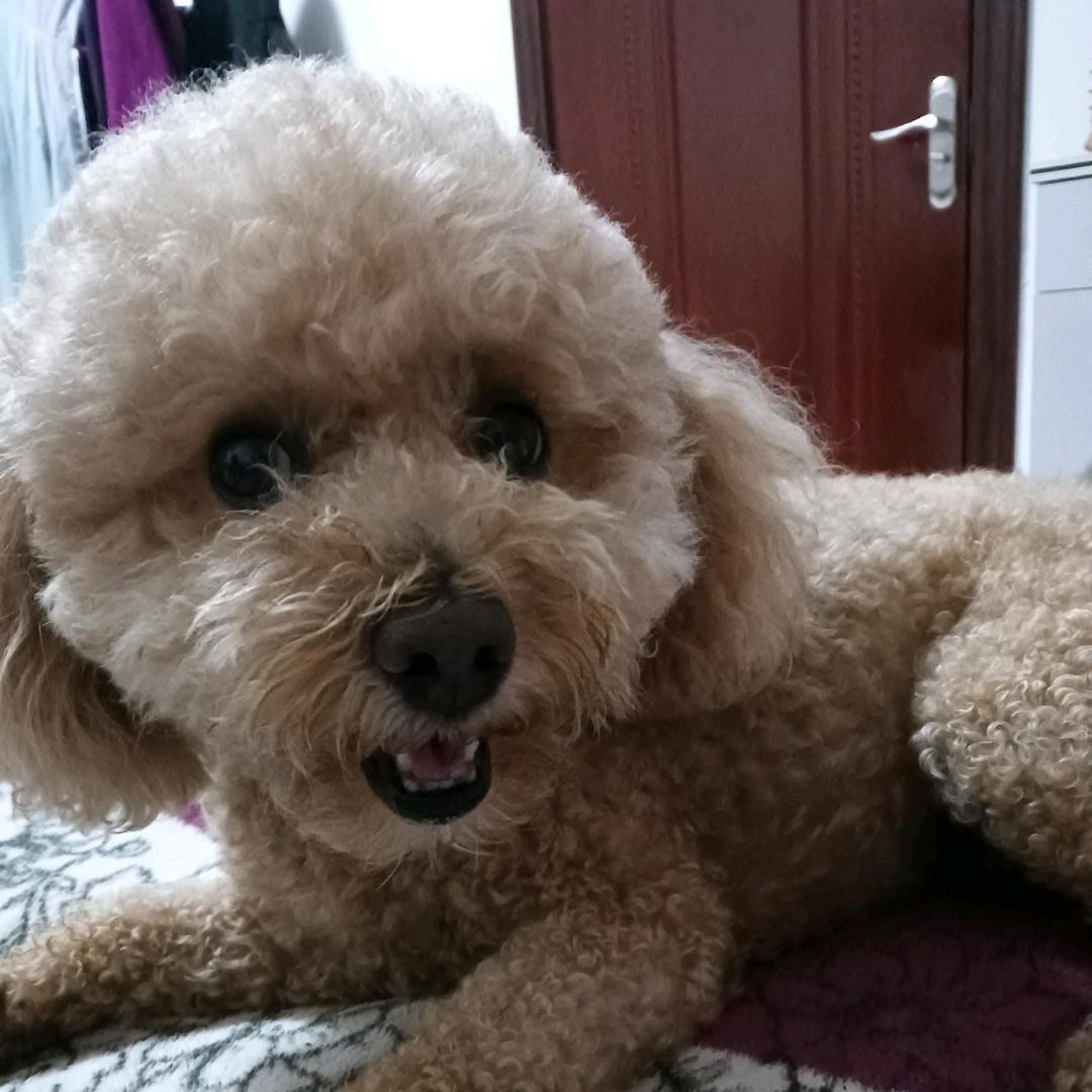 明媚阳光