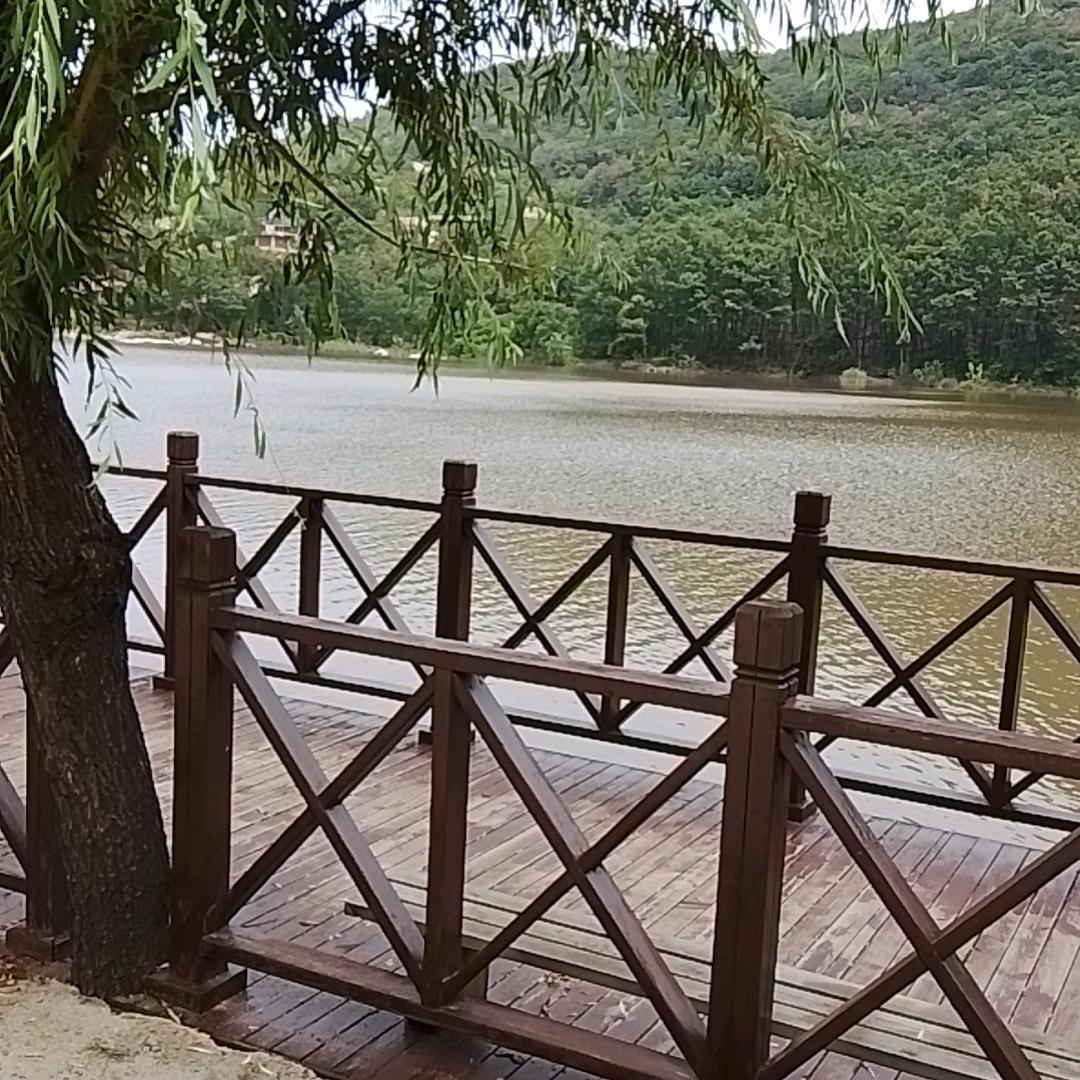 人生一路向前走