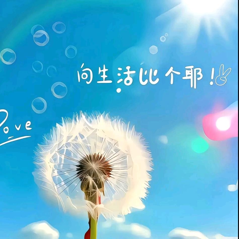 幻月好物分享