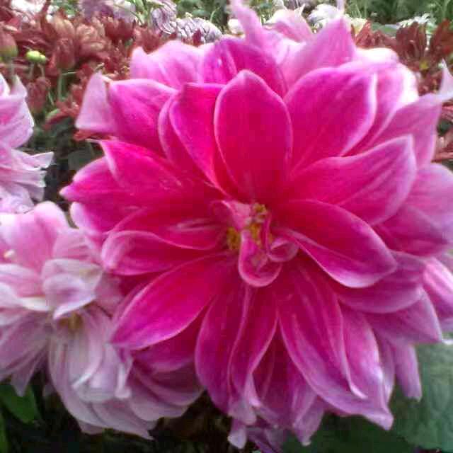 用户951377923701酸甜苦辣