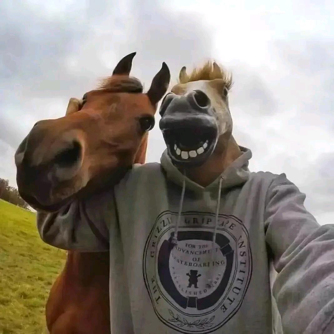 孤独患者